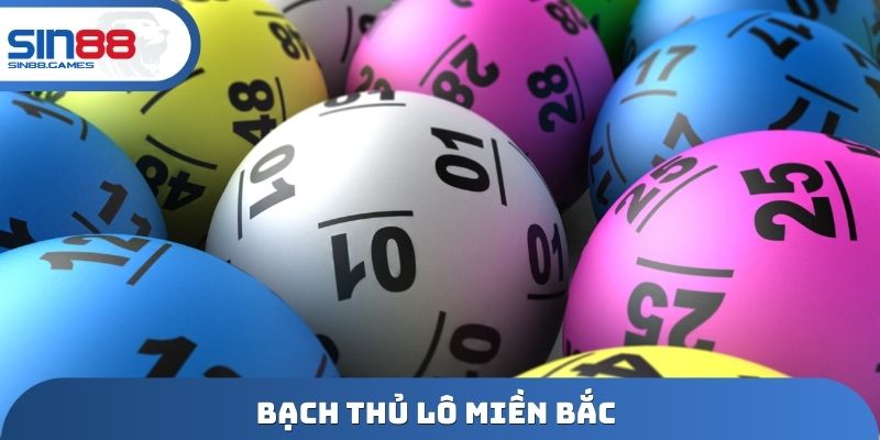 bạch thủ lô miền Bắc